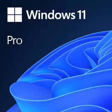 MICROSOFT WINDOWS 11 PROFESSIONAL